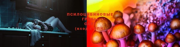 apvp Остров