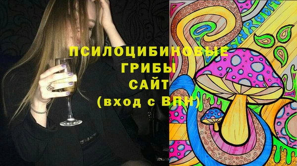 Альфа ПВП Алексин