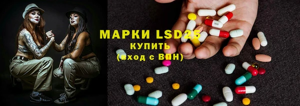 индика Осташков